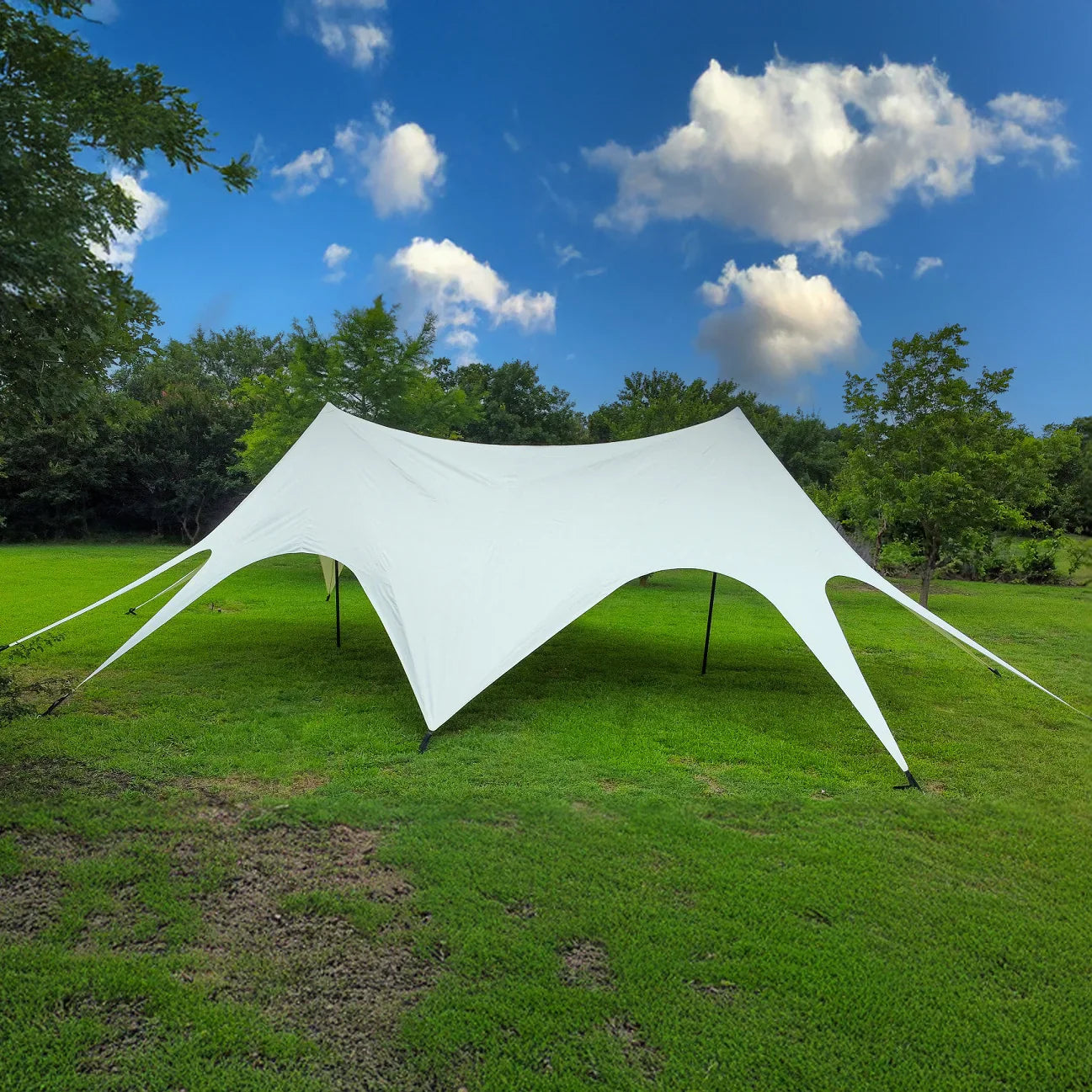 Wilderness Resource Twin Star Canopy