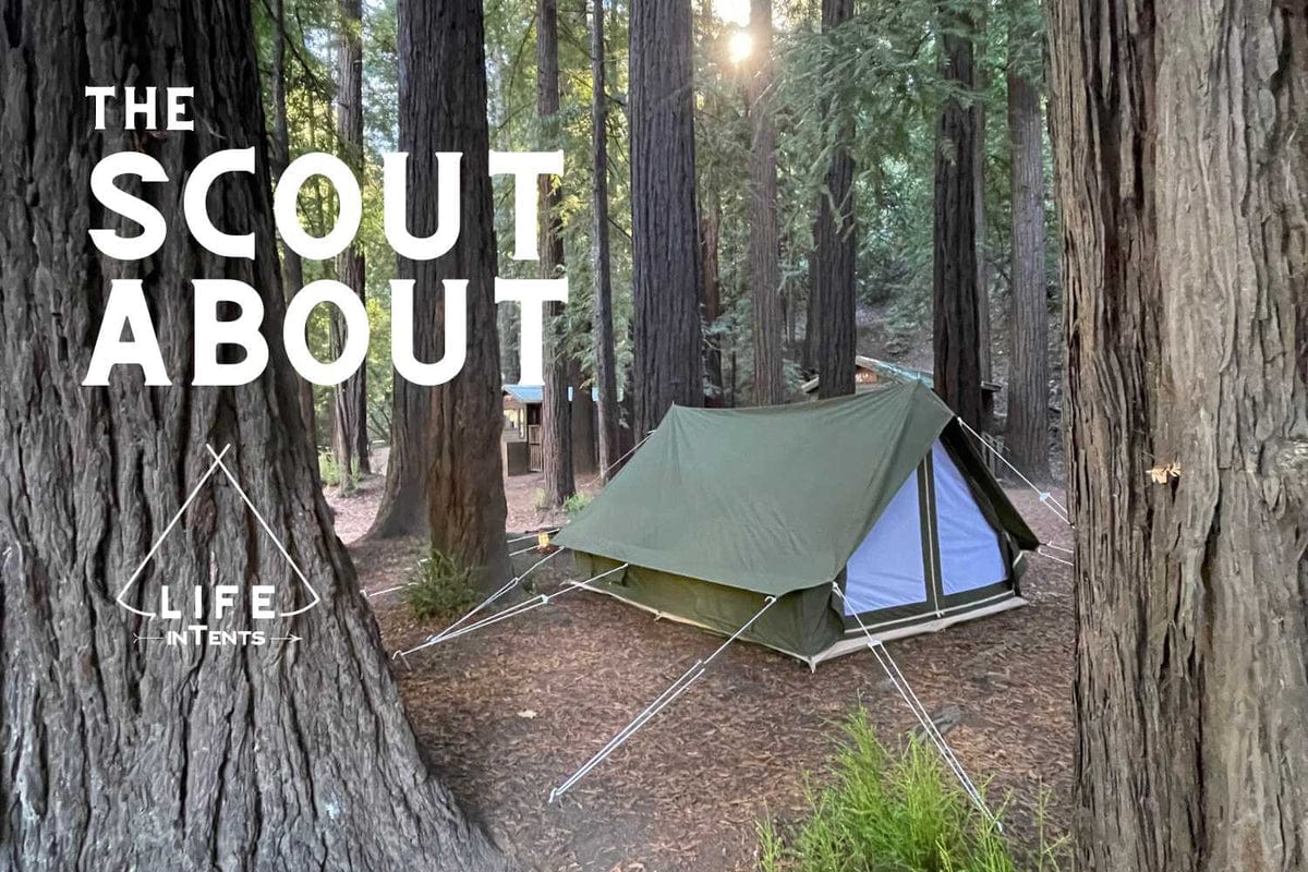 Life inTents Canvas Tent Life inTents Scout About™ Canvas A-Frame Tent 4 Person