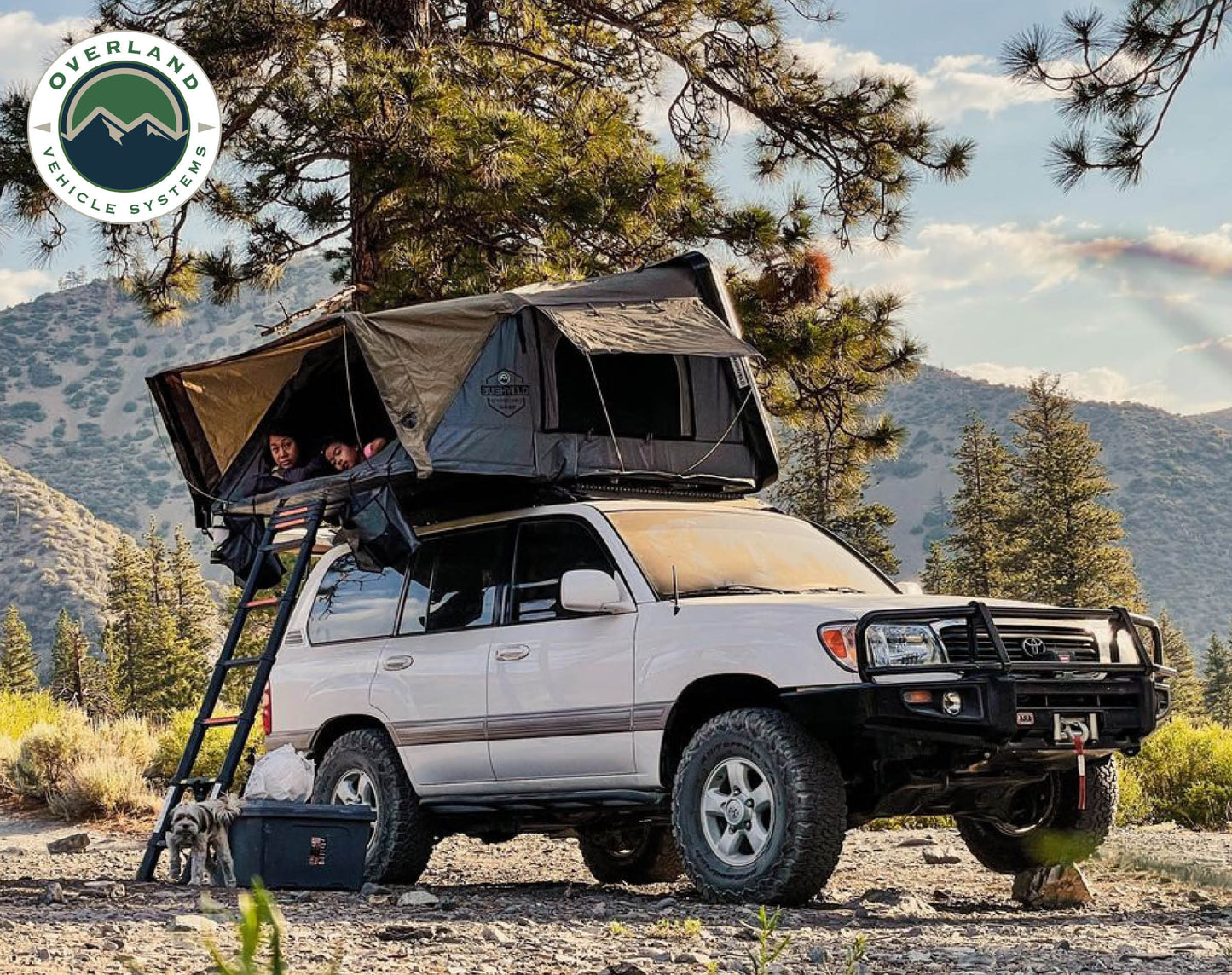 Overland Vehicle Systems Overland Vehicle Systems Bushveld Hard Shell 4 Person Roof Top Tent