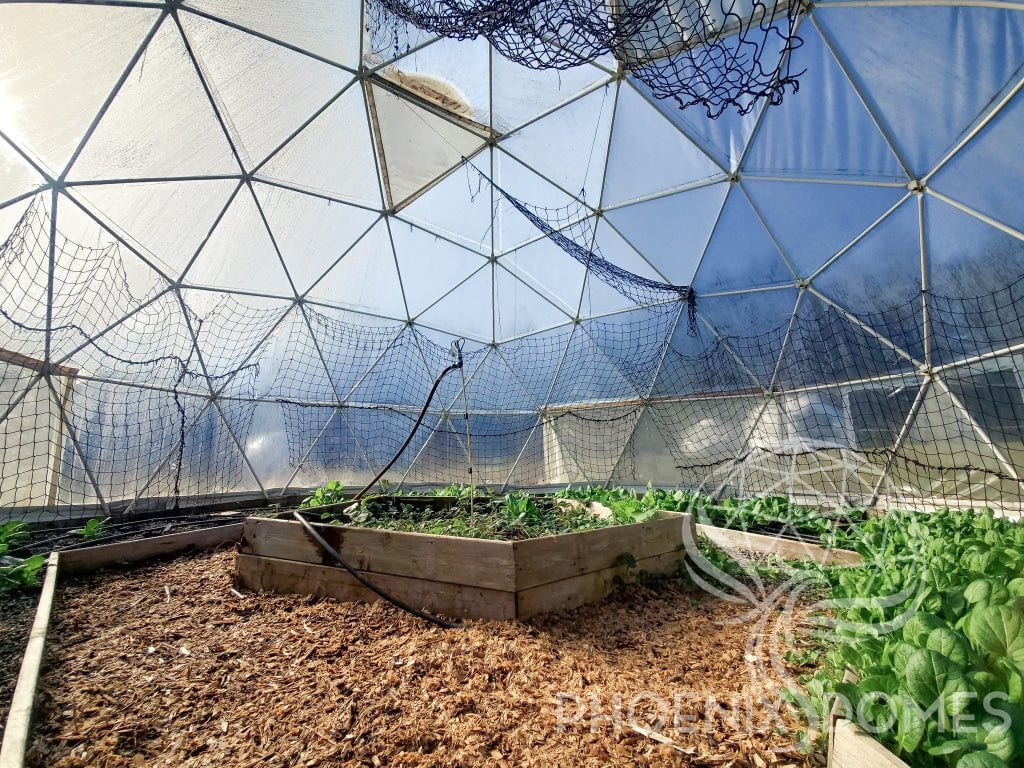 Phoenix Domes Dome Greenhouse Dome | Clear Geodesic Dome | Phoenix Domes