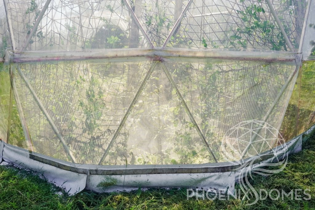 Phoenix Domes Dome Greenhouse Dome | Clear Geodesic Dome | Phoenix Domes