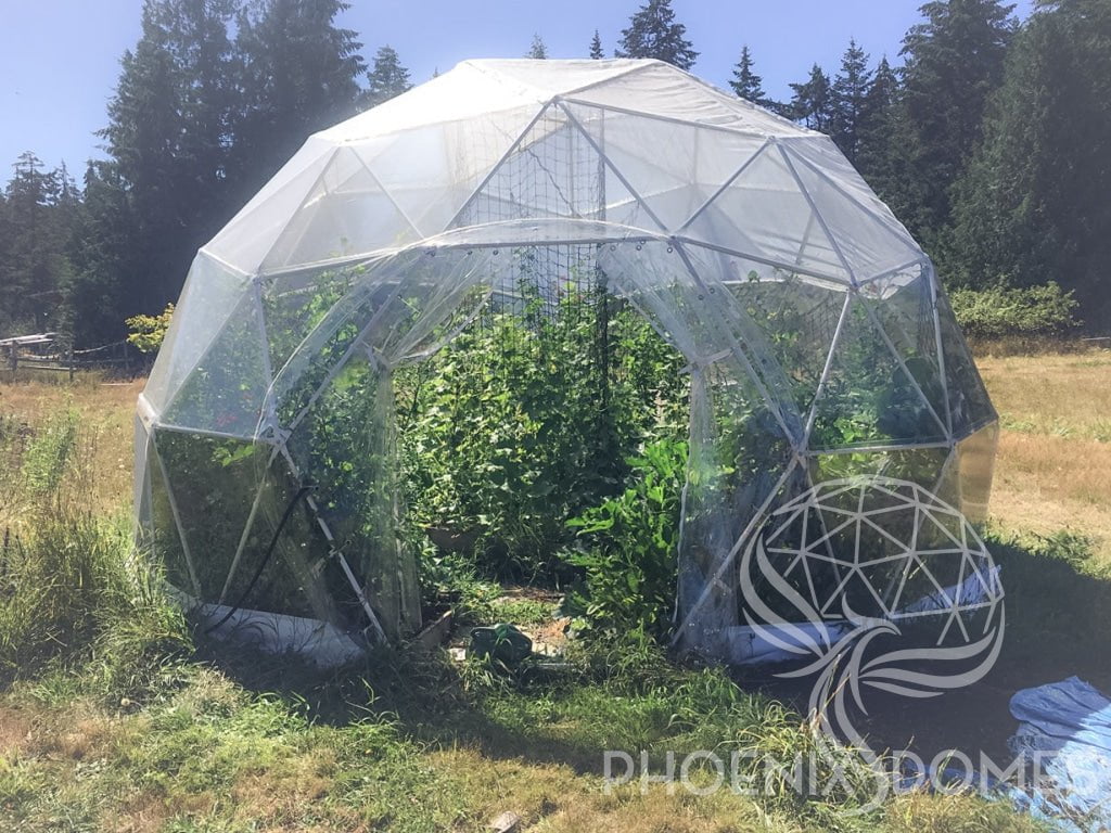 Phoenix Domes Dome Greenhouse Dome | Clear Geodesic Dome | Phoenix Domes