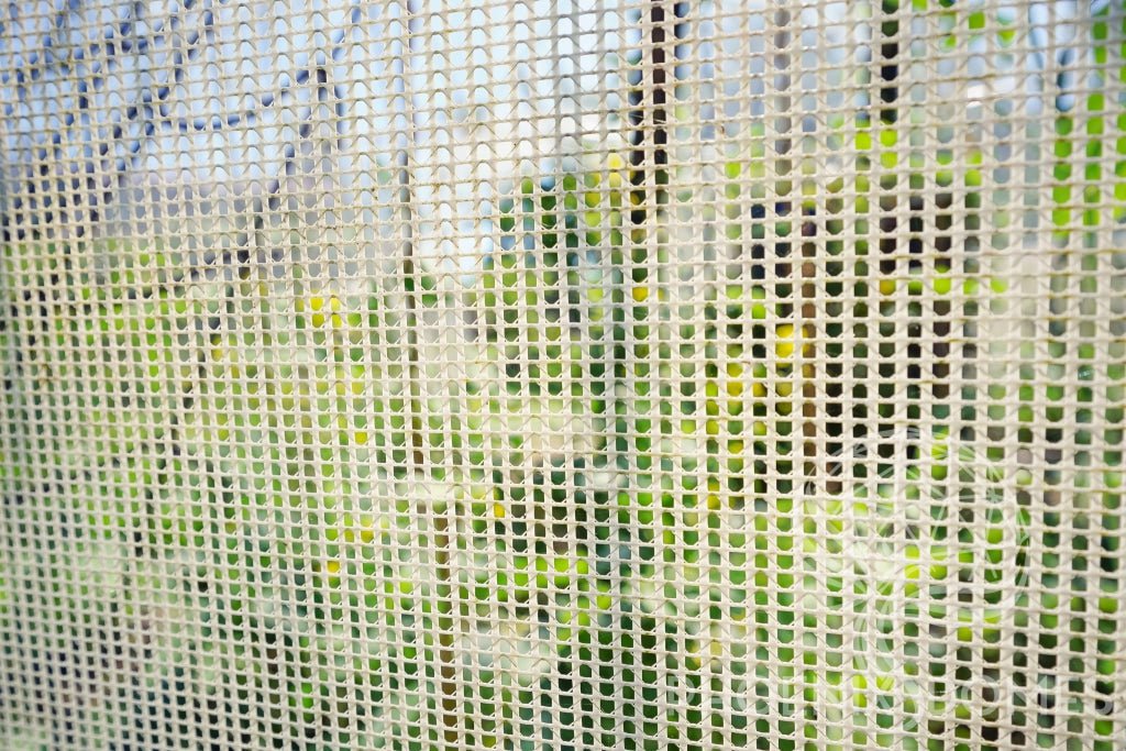 Phoenix Domes Dome Greenhouse Dome | Clear Geodesic Dome | Phoenix Domes