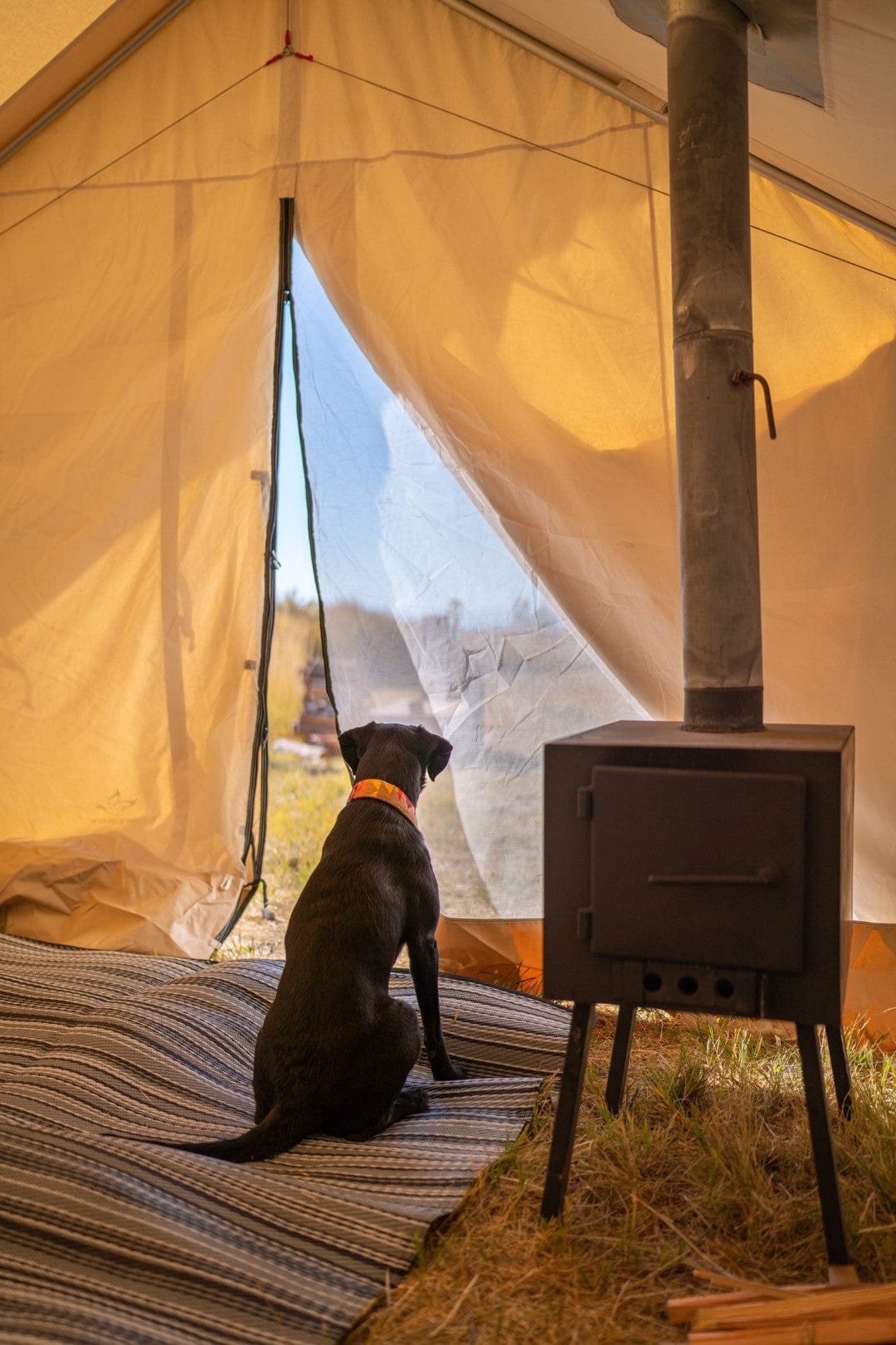 White Duck Outdoors Canvas Tent White Duck Outdoors Alpha Canvas Wall Tent