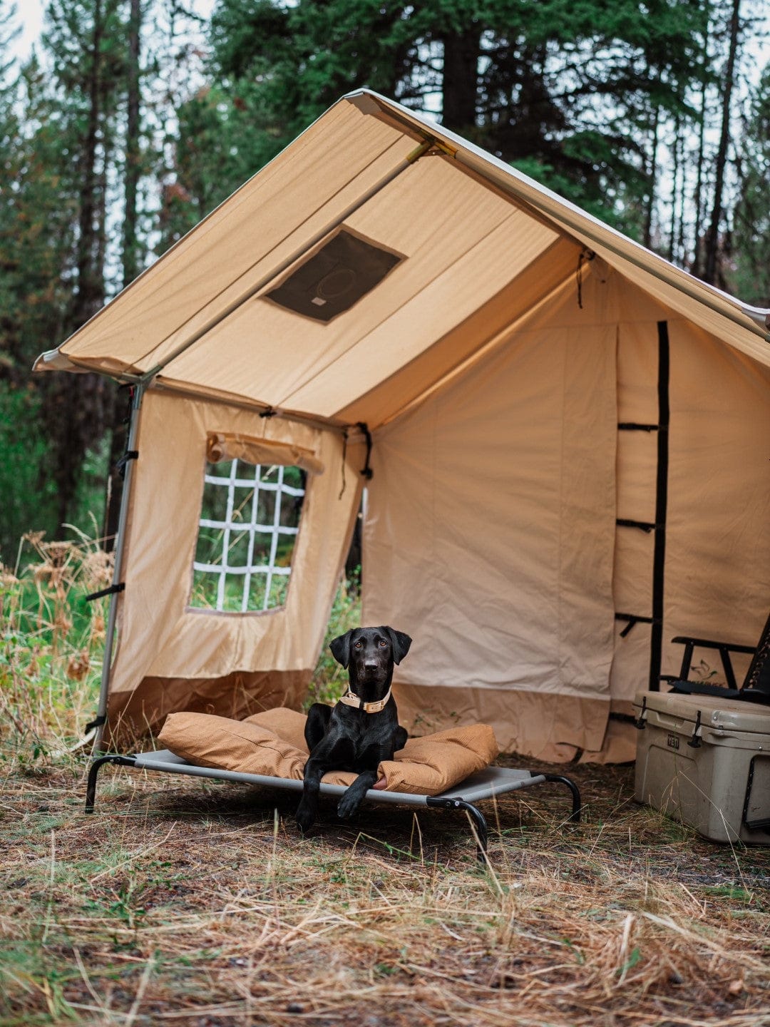 White Duck Outdoors Canvas Tent White Duck Outdoors Alpha Canvas Wall Tent