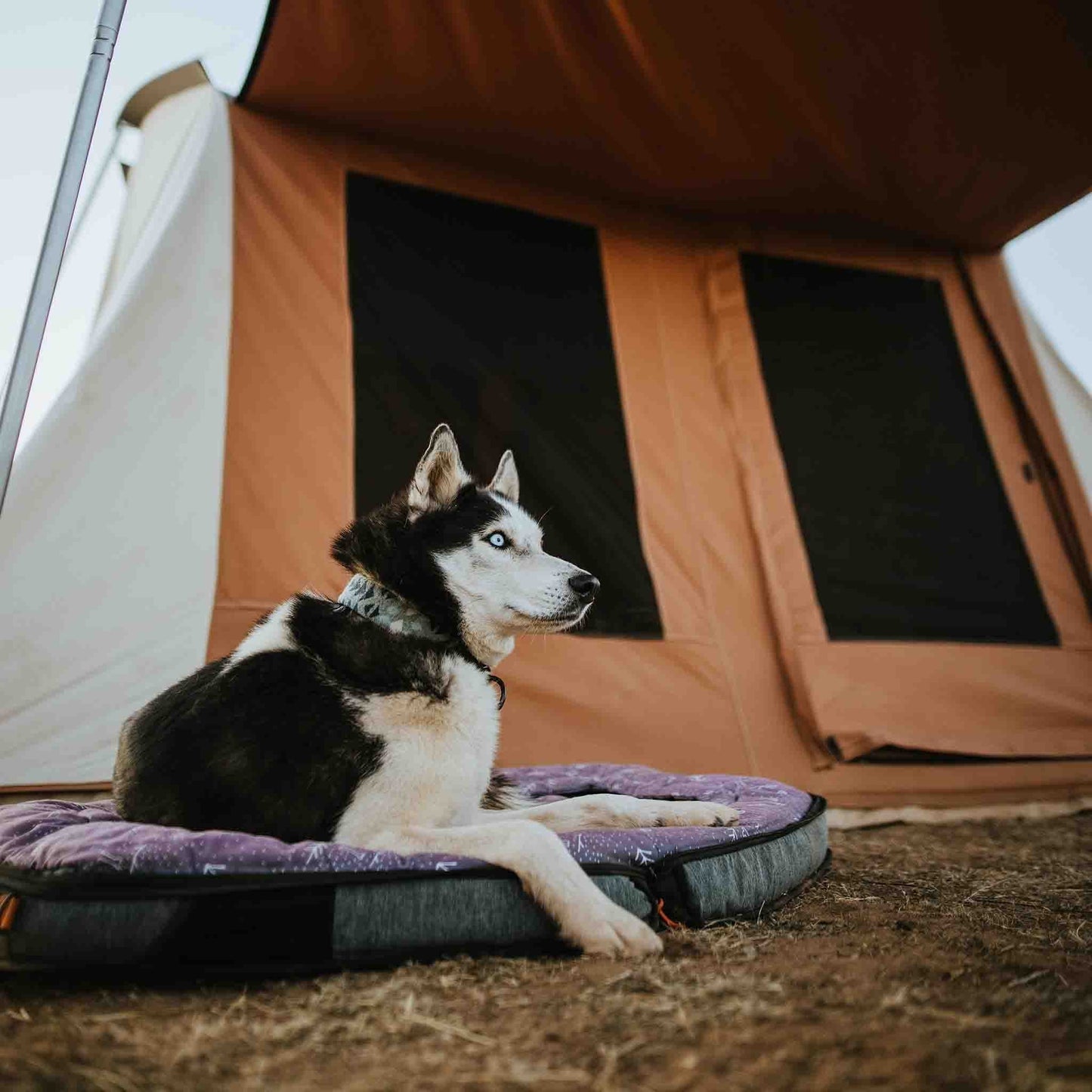 White Duck Outdoors White Duck Outdoors Prota Canvas Tent Standard/Deluxe - 10'x10'