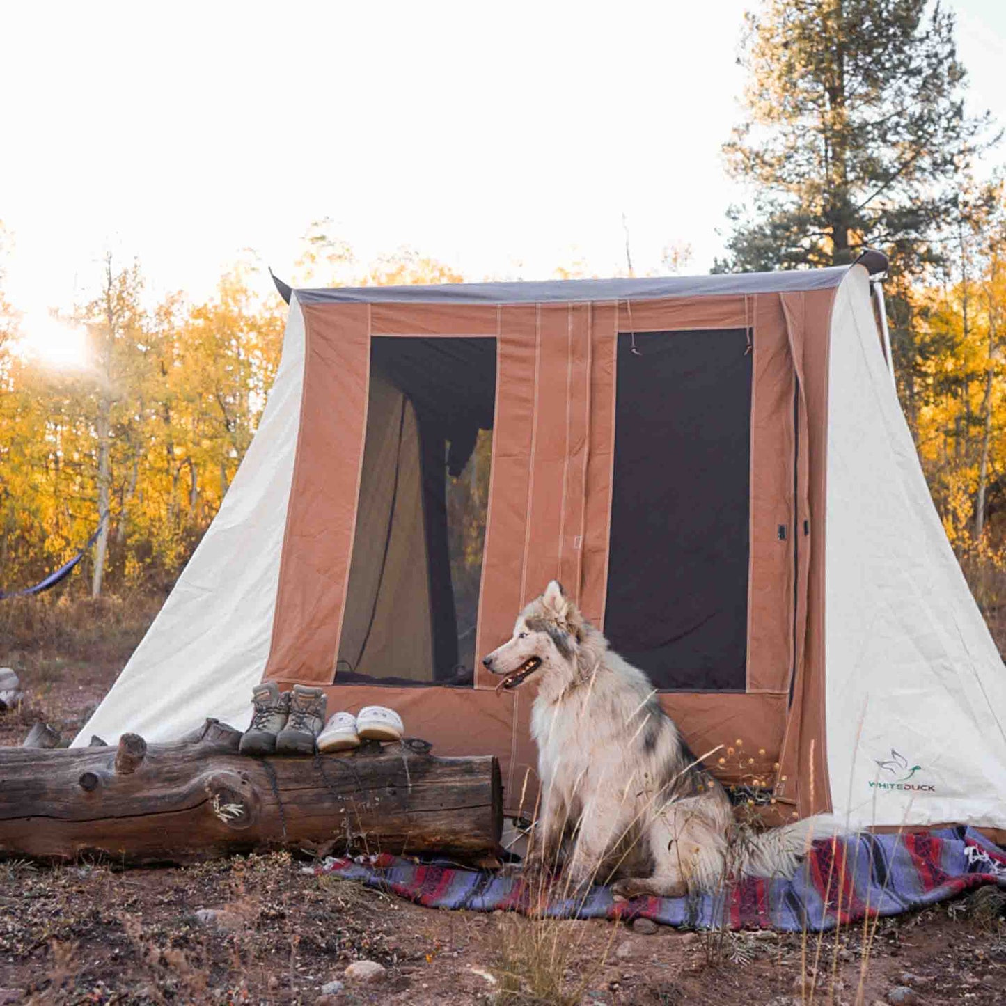 White Duck Outdoors White Duck Outdoors Prota Canvas Tent Standard/Deluxe - 10'x10'