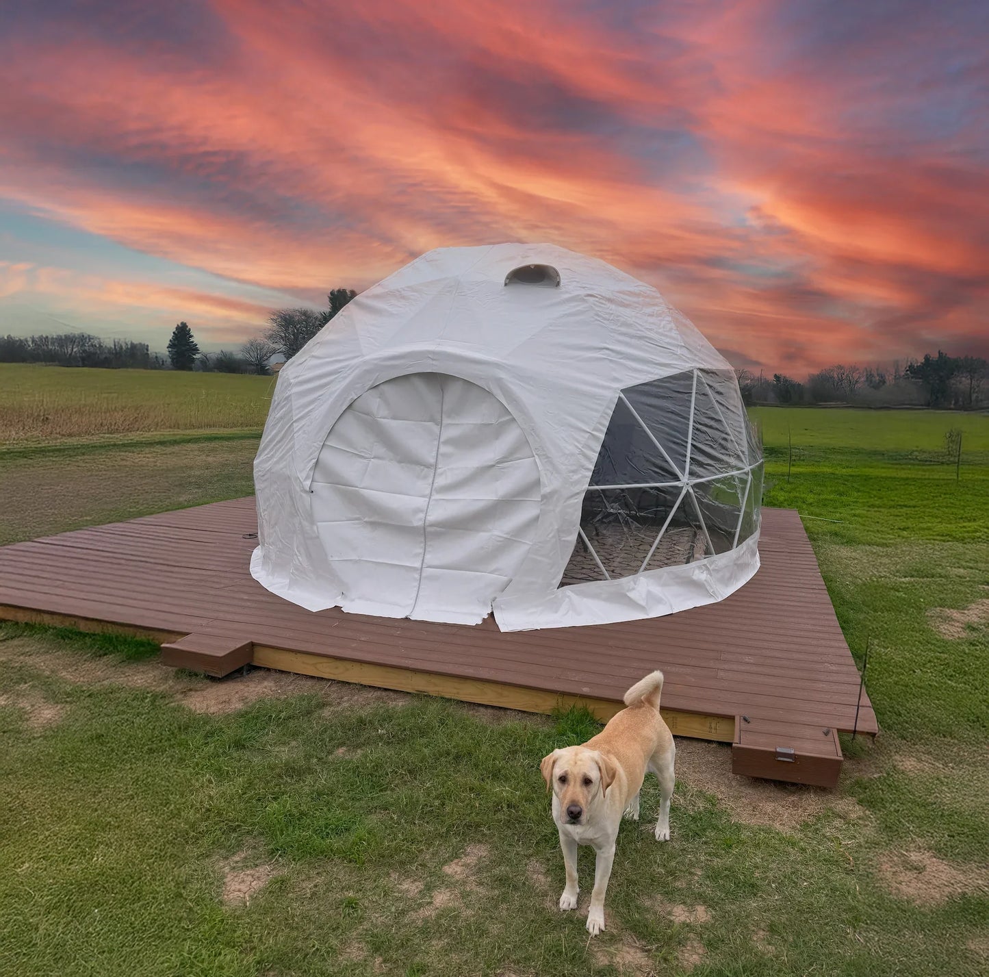 Geodesic dome tent on a wooden platform with a dog standing in front, against a colorful sunset sky.