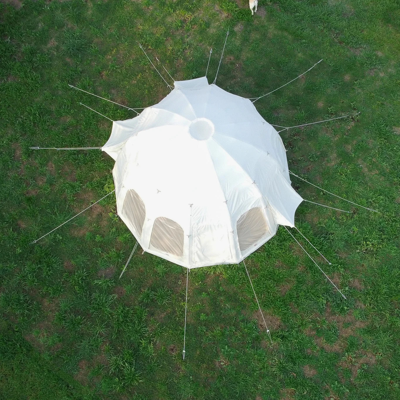 Wilderness Resource Jellyfish Air Beam Tent