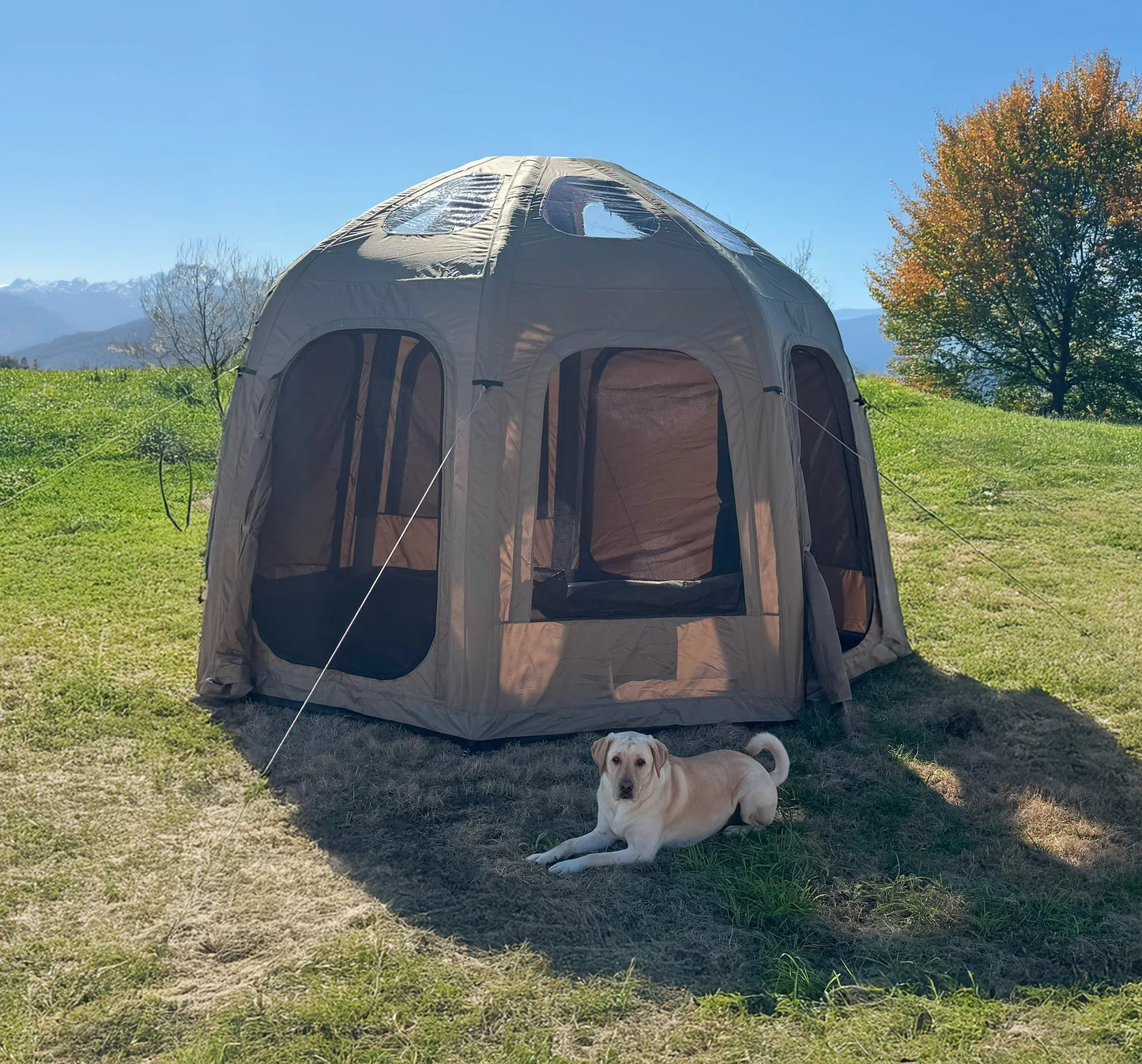 Wilderness Resource Galaxy Air Beam Tent
