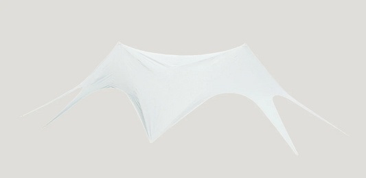 Wilderness Resource Twin Star Canopy