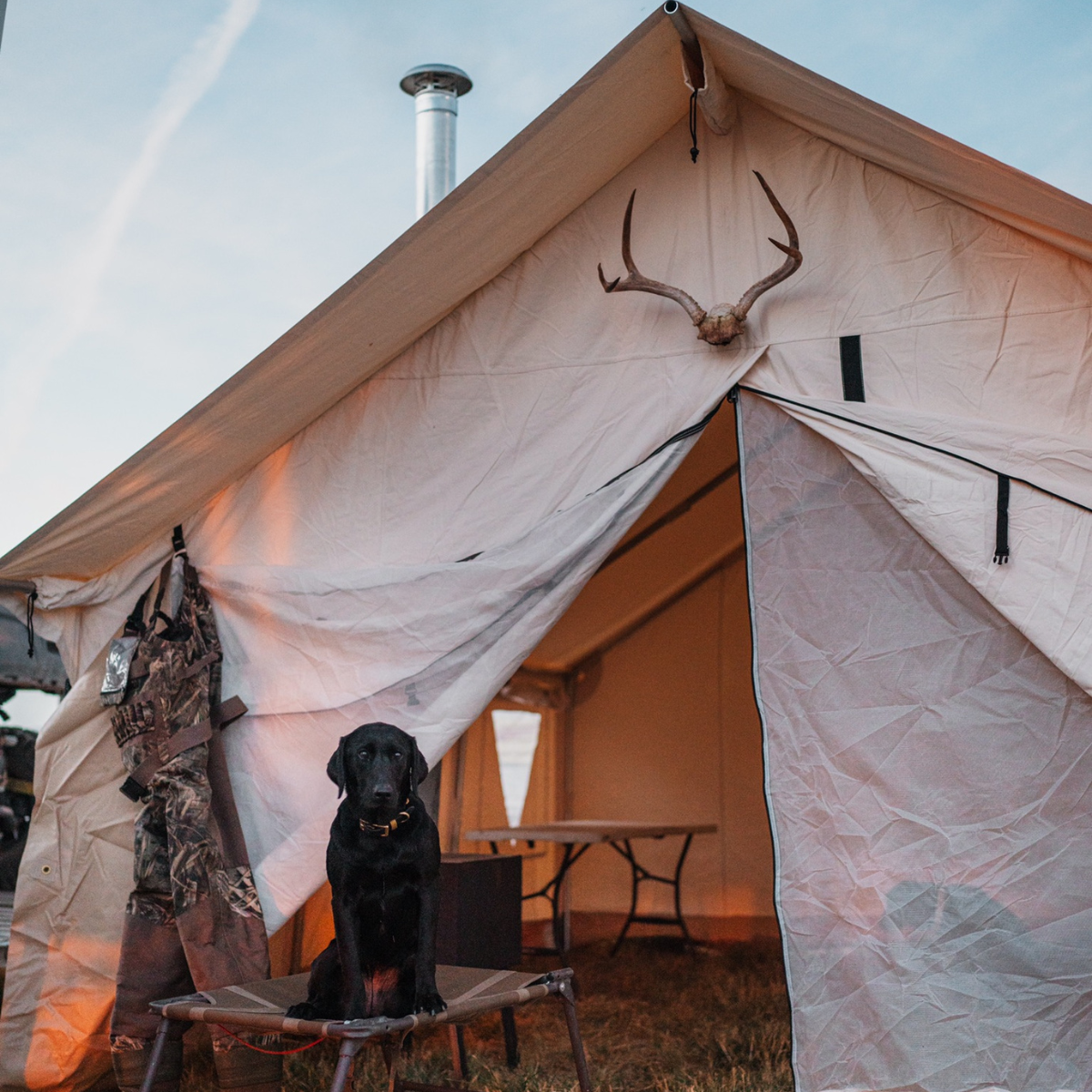 10'x12' Alpha Wall Tent – Live More Outside