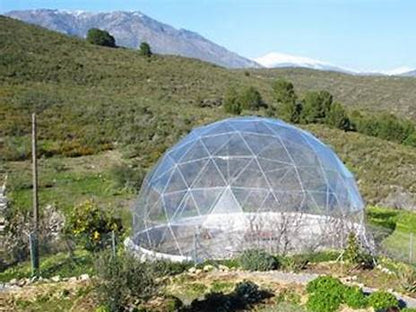 Dome Spaces CDS Series | Greenhouse Geodesic Dome