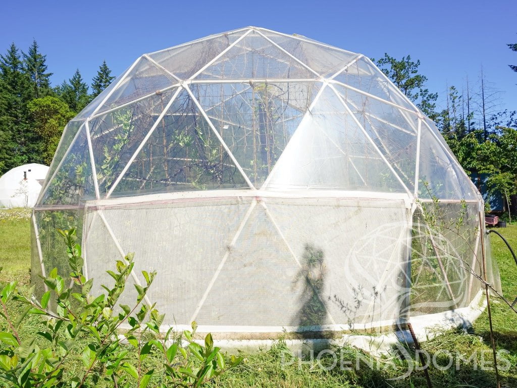 Phoenix Domes Dome Greenhouse Dome | Clear Geodesic Dome | Phoenix Domes